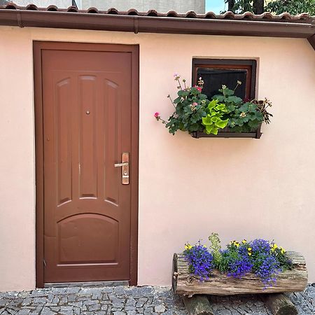 Ubytovani Pod Svetem-Apartman Trebon Exterior photo